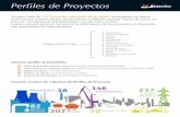750 Proyectos relevantes de la región, investigados en …member.bnamericas.com/.../documents/tearsheet_project_profile_esp.… · Trasandino del Sur Tren Alta Velocidad Santiago-Valparaíso