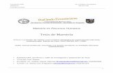 Tesis de Maestría - bibliotecadigital.econ.uba.arbibliotecadigital.econ.uba.ar/download/tpos/1502-0733_VillarrealAV.pdf · claves de competitividad en las organizaciones, siendo