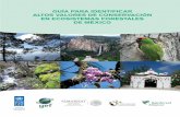 Guía para identificar altos valores de conservación en ...€¦ · 7 lIsta DE CuaDRos CuaDRo 1. Ejemplos de Altos Valores de Conservación (AVC) de acuerdo a criterios ecológicos,