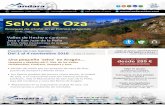 Selva de Ozaandararutas.com/index_htm_files/SELVA-OZA-puente... · 2018-09-11 · Del 1 al 4 noviembre 2018 -4 días / 3 noches-DIFICULTAD MEDIA y BAJA + ruta cultural pueblos Una