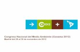 Madrid del 26 al 30 de noviembre de 2012€¦ · como aliados estratégicos Construcción de Mercado Social----- Mercado determinadoConstructo especificamente humano donde se …