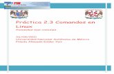Práctica 2.3 Comandos en Linux · Práctica 2.3 Comandos en Linux Comandos mas comunes 26/09/2011 Universidad Nacional Autónoma de México Pineda Almazán Edder Yair