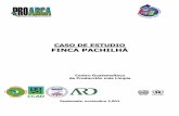 CASO DE ESTUDIO FINCA PACHILHÁ - Latin …latinamericacaribbean.recpnet.org/uploads/resource/cfc39ac77c5d6eb... · como el uso de lombricompostaje para el aprovechamiento de la pulpa.