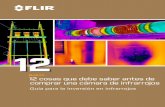 12 - flirmedia.comflirmedia.com/MMC/THG/Brochures/IND_022/IND_022_ES.pdf · 2 12 cosas que debe saber antes de comprar una cámara de infrarrojos Como puede ver, existen distintas