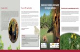 El urogallo cantábrico El proyecto LIFE+ Urogallo cantábrico Ganadería de … · 2018-05-04 · ... (agrosistemas de alto valor natural) en reconocimiento a su valor para la conservación