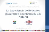 Experiencia en Gasoductos de América del Sur - … en... · La Experiencia de Bolivia en Integración Energética de Gas ... Bolivia-Brasil y Gasoductos Argentina-Chile 67,9% 31,7%