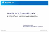 Gestión de la Prevención en la PEQUEÑA Y MEDIANA … · Seguridad e Higiene Asepeyo MATEPSS nº 151 Gestión de la Prevención en la PEQUEÑA Y MEDIANA EMPRESA Xavier Panadés