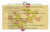 Tema 3.- Biomoléculas orgánicas I: glúcidos. · PDF fileLa aparición del nuevo carbono anomérico tiene como consecuencia que se formen dos nuevos isómeros que denominaremos α