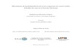 Mecanismos de participación local en tres …icta.uab.cat/Etnoecologia/Docs/[447]-mendez.pdf1 RESUMEN Dado el énfasis político en promover la participación local como medio para