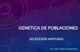 GENETICA DE POBLACIONES · genetica de poblaciones selecciÓn natural dra. egle villegas castganasso ... principio de variacion principio de seleccion principio de herencia. ... los