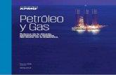 Petróleo & Gas - KPMG | US · sector del petróleo y gas en la Argentina que enfrenta importantes desafíos para recuperar el autoabastecimiento perdido. ... debido al inicio de