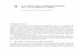 7 DE CALZADO EN CHILE LA INDUSTRIA …cieplan.org/media/publicaciones/archivos/31/Capitulo_7.pdf · El mercado chileno se caracteriza por su marcada estacionalidad deter- minada por