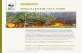 Incendios en España - awsassets.wwf.esawsassets.wwf.es/downloads/bosques_listos_para_arder_wwf.pdf · A continuación WWF repasa la situación de los últimos años, tendencias,