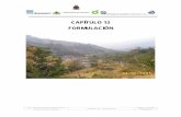 CAPÍTULO 12 FORMULACIÓN - corpoboyaca.gov.co · deforestada en su gran mayoría con la pérdida consecuente de biodiversidad. La deforestación ... pasturas y eliminación de ...