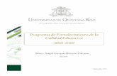 Programa de Fortalecimiento de la Calidad Educativa …sigc.uqroo.mx/04_documentos_generales/pifi/2018/00 PFCE 2018-2019... · PFCE 2018-2019 2 Por un lado los equipos de las DES