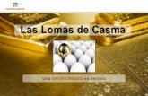 Las Lomas de Casma - miscongroup.commiscongroup.com/wp-content/uploads/Planta-Las-Lomas-de-Casma.pdf · • 1 Chancadora de quijada 8’ x 12’ • 1 Chancadora Cónica 1.5’ •