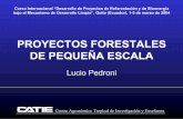 PROYECTOS FORESTALES DE PEQUEÑA ESCALA America/Ecuador/Training Workshop... · Curso Internacional “Desarrollo de Proyectos de Reforestación y de Bioenergía bajo el Mecanismo