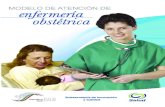 Secretaría de Salud - SMI - Salud Materno Infantil - …maternoinfantil.org/archivos/smi_D263.pdf · en enfermería y obstetricia y del especialista en enfermería perinatal a fin