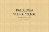 PATOLOGIA SUPRARRENAL - SBU Cbbasbu-filial-cbba.com/Archivos/EC-AA_PATOLOGIA SUPRARRENAL Dr.… · suprarrenales. •Para el SC endógeno se ha estimado una incidencia en población