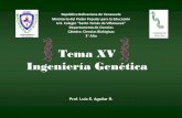 Tema XV Ingeniería Genética - biologiastv.weebly.combiologiastv.weebly.com/uploads/4/0/1/0/40103559/tema_xv_ingenier... · • Genomaes el conjunto de genes que posee un organismo.