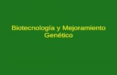Biotecnología y Mejoramiento Genético - UNCagro.unc.edu.ar/~mejogeve/Biotech2004.pdf · Relaciones genéticas dentro de la tribu Triticeae de acuerdo a la producción exitosa de