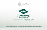 Conalep Plantel Veracruz I - conalepveracruz.edu.mx · Reporte de calificaciones fuera de tiempo (SAE). 4. Inseguridad 5. Factores económicos 6. Desintegración familiar. Medidas