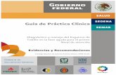 Guía de Práctica Clínica - sgm.issste.gob.mxsgm.issste.gob.mx/medica/medicadocumentacion/guiasautorizadas... · ortopedia Instituto Mexicano del Seguro ... Búsqueda manual de