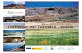 Cuenca de Guadix - Baza - cuevasolmos.com · su margen sur y este (Sierra Nevada, Sierra de Baza y Sierra de ... esencialmente por calizas y margas, conforman todo el perímetro oeste