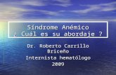 Síndrome Anémico - Fisiopatología y Patología | Donde … · PPT file · Web view2012-11-03 · ¿ Cuál es su abordaje ? ... 40 800 - 4.600 Linfocitos 2 - 8 80 - 800 Monocitos