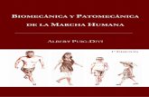 DE LA MARCHA HUMANA - media.axon.esmedia.axon.es/pdf/112920.pdf · sobre la biomecánica de la marcha humana que aparece en este manuscrito, están basados en ... en esta fase la