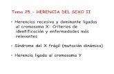 05Tema 25. HERENCIA LIGADA SEXO II 2016 - … 25. HEREN… · Tema 25.- HERENCIA DEL SEXO II •Herencias recesiva y dominante ligadas al cromosoma X: Criterios de identificación