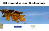 El monte en Asturias - Pagina de Inicio · Asturias se caracteriza por un clima oceánico templado, con precipitaciones abundantes ya que la media nacional está en 666 mmP (mi- ...