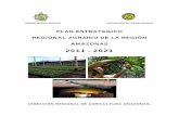 PLAN ESTRATEGICO REGIONAL 2011- 2021 · gobierno regional amazonas direccion regional agraria amazonas plan estrategico regional agrario de la regiÓn amazonas 2011 - 2021