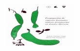 Cooperación Técnica del gobierno Suizo - iiap.org.pe · bosques naturales y de plantaciones, con el objetivo de demostrar el manejo del ... propagación y sistemas de plantaciones