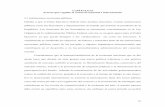 CAPÍTULO II Actores que regulan el comercio nacional …catarina.udlap.mx/u_dl_a/tales/documentos/lri/garcia_p_ay/capitulo... · mexicanas públicas como de las privadas y algunos