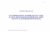 COMPORTAMIENTO DE LOS RESERVORIOS DE …oilproduction.net/files/Parte_04_Reservorios_Lucio_Carrillo... · 69 DEFINICIONES PARA PARAMETROS DE SISTEMAS MULTICOMPONENTES Temperatura