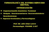 FARMACOLOGÍA DEL SISTEMA NERVIOSO …odn.unne.edu.ar/snc2007.pdf · -Regiones y funciones. El sistema nervioso central ... Circuitos neuronales. Despolarización. ... la sinapsis