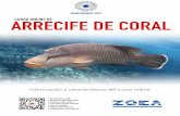Información y características del curso onlinezoeacampus.com/folletos/Folleto_curso_online_arrecife.pdf · campo de la biolog™a marina en el ecosistema de arrecife de coral. ...
