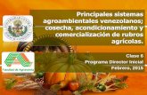 Principales sistemas agroambientales venezolanos; cosecha ...€¦ · Cosecha y manejo post cosecha de productos agrícolas vegetales ... • Un método primitivo es el que consiste