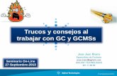 Trucos y consejos al trabajar con GC y GCMSs - … y... · Seminario On-Line 27-Septiembre-2013 Trucos y consejos al trabajar con GC y GCMSs . ... Mantenimientos básicos en Gases