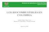 LOS BIOCOMBUSTIBLES EN COLOMBIA - galeon.comgaleon.com/subproductospalma/biocombust.pdf · Ministerio de Agricultura y Desarrollo Rural. República de Colombia. Libertad y Orden.