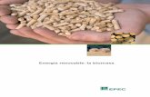 Energía renovable: la biomasa - . : : EPEC : : . · Conceptos y definiciones ... de la energía solar fijada ... biomasa, energia, electricidad, biocombustibles, bioenergia, ciclo