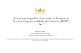 de gestión forestal en la Reserva de Biosfera Oxapampa ...€¦ · Iniciativas de gestión forestal en la Reserva de Biosfera Oxapampa AsháninkaYánesha(RBOAY), Perú Zoila Cruz