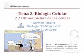 Tema 2. Biología Celular - dpbiologia.weebly.comdpbiologia.weebly.com/uploads/2/1/5/5/21553524/gtp_t2.biología... · complejo de Golgi. Otros orgánulos membranosos son las vacuolas,