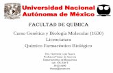 Universidad Nacional Autónoma de México - Blog de la … · Glicosilación post-traduccional de proteínas en aparato de Golgi RER Golgi cis-Golgi media-Golgi trans-Golgi lisosoma