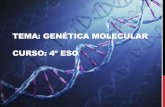 Tema: Genética molecular Curso: 4º ESO · CURSO: 4º ESO . CUESTIONARIO 1. ... los ejercicios 3 y 4 y la página 107, los ejercicios 8 y 9. 3. LA EXPRESIÓN GÉNICA Ácidos nucleico