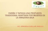 FARIÑA Y TAPIOCA UNA PROPUESTA …iiap.org.pe/Upload/Conferencia/CONF150.pdf · analisis del macroambiente externo del mercado de la fariÑa y tapioca fariÑa y tapioca una propuesta