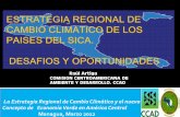 ESTRATEGIA REGIONAL DE CAMBIO CLIMATICO DE … · COMISION CENTROAMERICANA DE AMBIENTE Y ... ESTRATEGIA REGIONAL DE CAMBIO CLIMATICO . ... en infraestructura públicas y privadas
