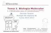 Tema 1. Biología Moleculardpbiologia.weebly.com/uploads/2/1/5/5/21553524/gtp_t1... · 2015-09-22 · monómeros) para la obtención de energía y poder reductor. ... en su mayoría