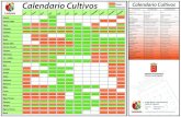 Calendario Cultivos 1 - Cabildo de Lanzarote. · Calendario Cultivos Calendario Cultivos Enero Febrero o Abril Mayo unio ulio Agosto Septiembre Octubre oviembre Diciembre Cebolla